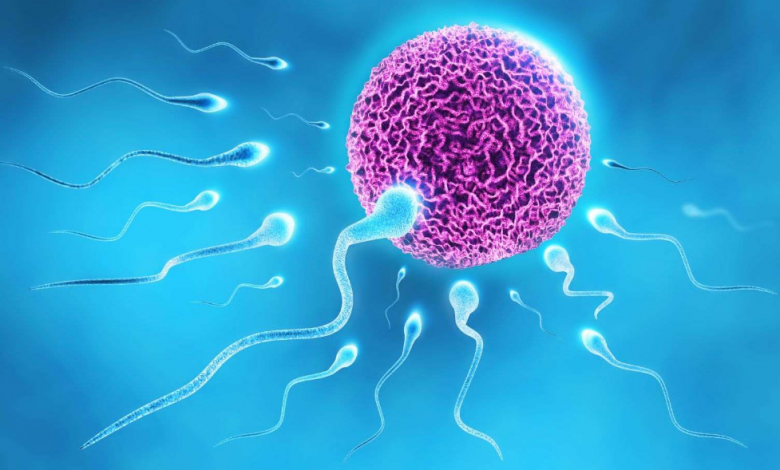 Erkek Kısırlığında Tüp Bebek İle Başarı Elde Edilebilir Mi1