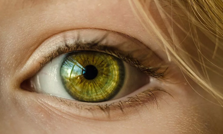 Yeşil Gözlü Kadınlar İçin Göz Makyajı1