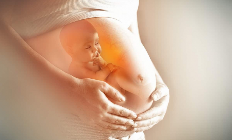 Ovulasyon Testiyle Hamile Kalabilmek Mümkün Mü1