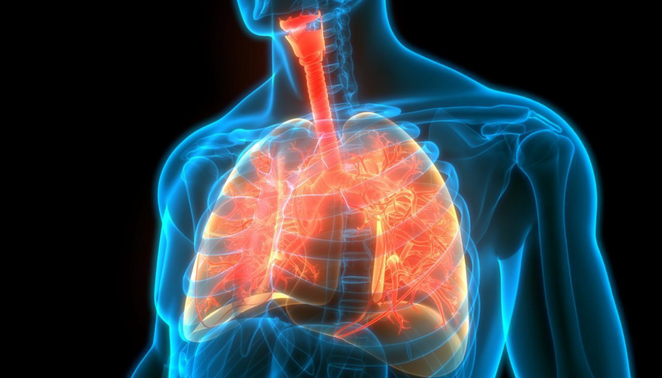 Akciğer Sönmesi Belirtileri Nelerdir, Nasıl Tedavi Edilir