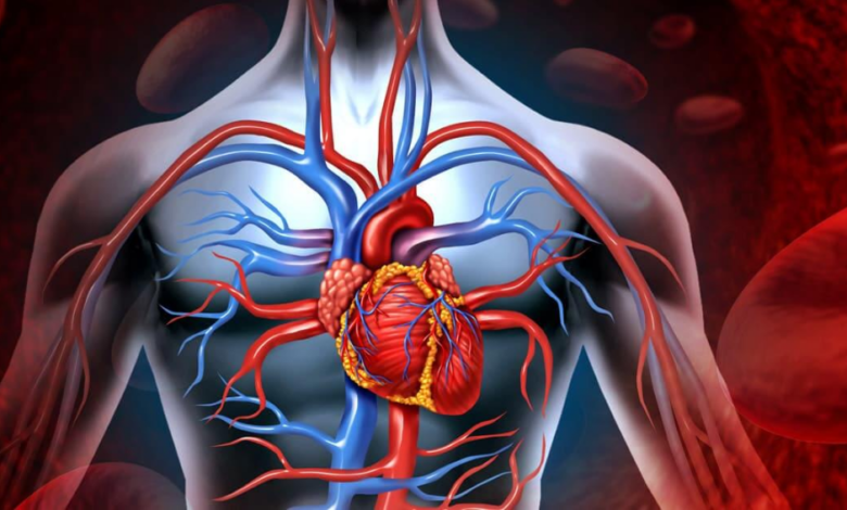 Koroner Arter Kalp Hastalığı Nedir, Belirtileri Nelerdir1